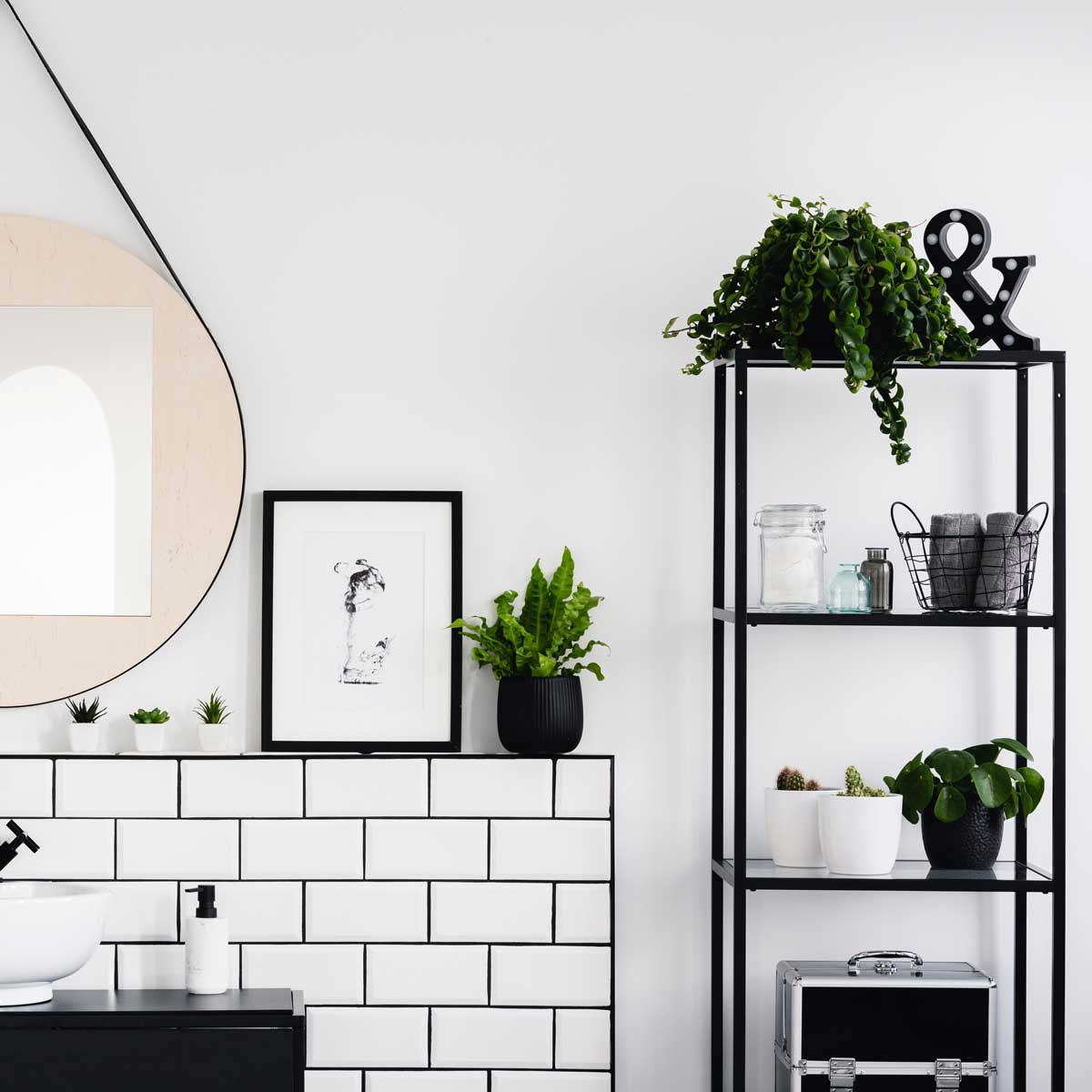 bazuba Die 8 besten Pflanzen fürs Badezimmer
