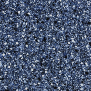 Acrapora Blue
