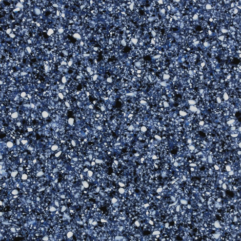 Acrapora Blue