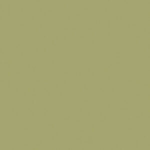 Codium Green