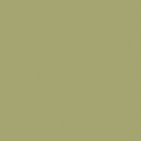 Codium Green